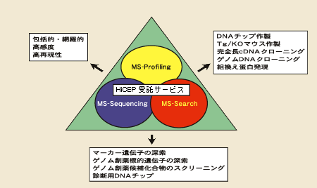 image/図1 MS 技術の構成と応用例